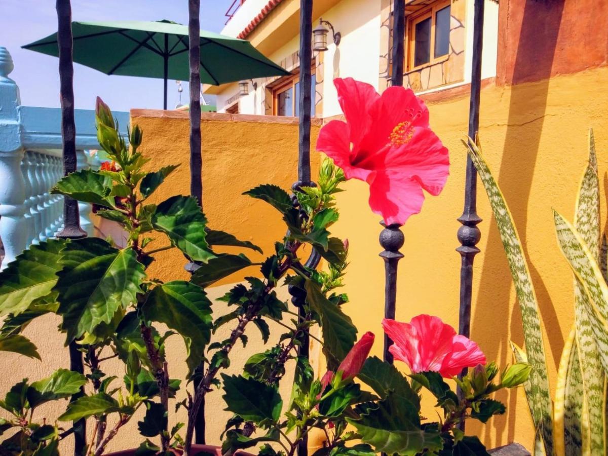Apartamentos San Jose Valle Gran Rey Dış mekan fotoğraf