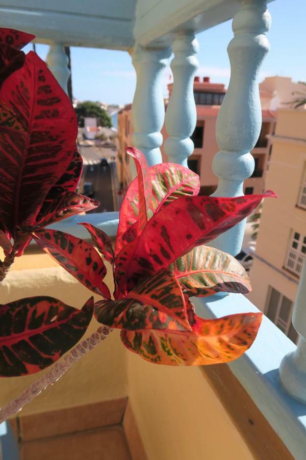 Apartamentos San Jose Valle Gran Rey Dış mekan fotoğraf